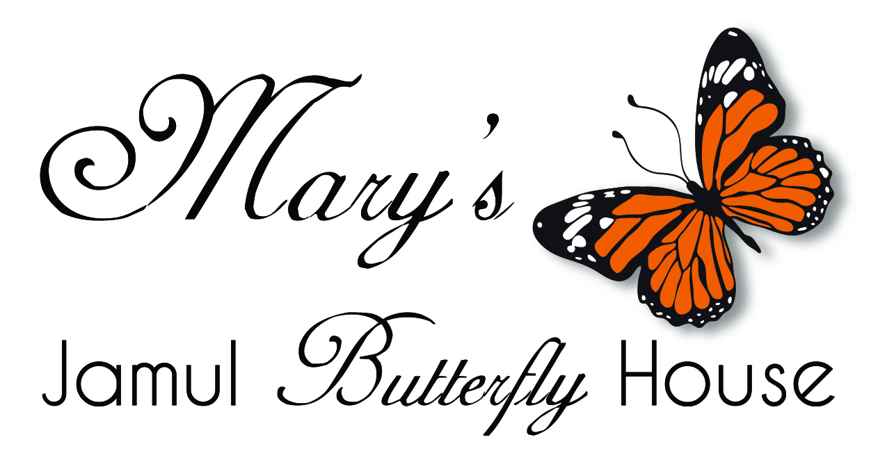 Mary’s Jamul Butterfly House